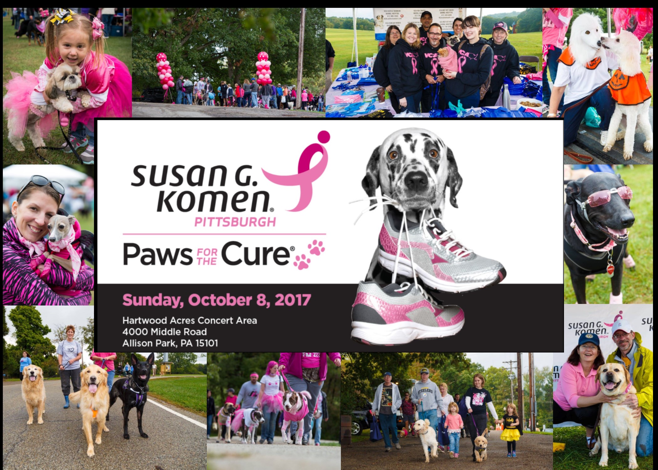 Komen Pittsburgh Paws Graphic Header